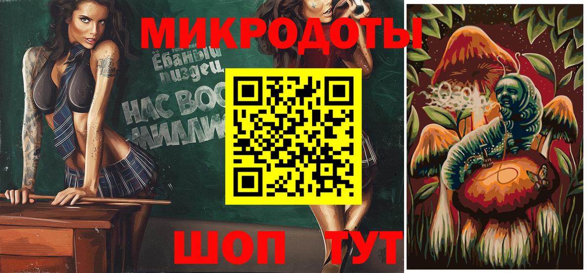 Псилоцибиновые грибы Psilocybe Бийск
