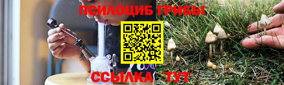 Псилоцибиновые грибы GOLDEN TEACHER  Вход с VPN  Бийск 